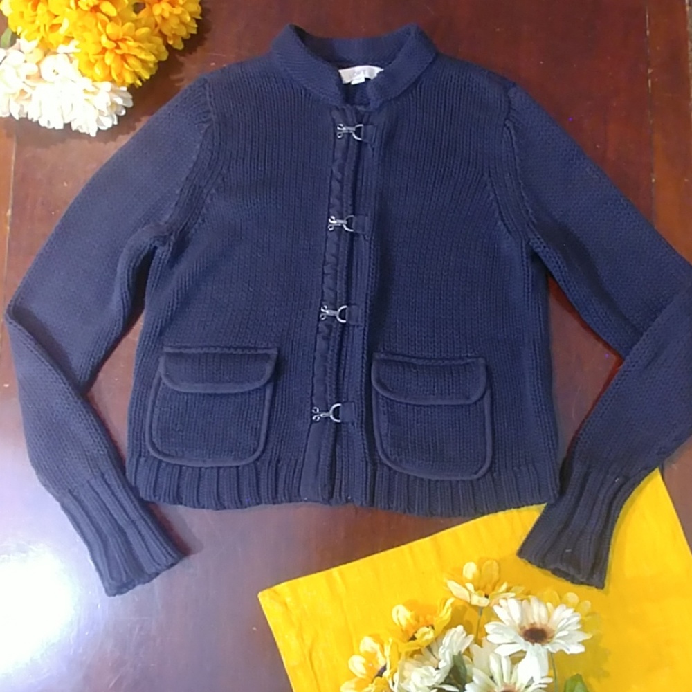 Ann Taylor Loft Chunky Knit Clasp Sweater